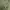 Jil Sander Luxury Lolita Maxi dress Wanita green photo 6