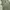 Jil Sander Luxury Lolita Maxi dress Wanita green photo 5