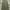 Jil Sander Luxury Lolita Maxi dress Wanita green photo 1