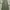 Jil Sander Luxury Lolita Maxi Dress Wanita Green