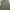 Jil Sander Luxury Lolita Maxi dress Wanita green photo 2