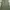 Jil Sander Luxury Lolita Maxi Dress Wanita Green