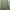 Jil Sander Luxury Lolita Maxi dress Wanita green photo 4