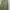 Jil Sander Luxury Lolita Maxi dress Wanita green photo 3