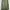 Jil Sander Luxury Lolita Maxi dress Wanita green photo 8