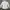 Uniqlo Streetwear Casual Casual shirt Pria white photo 5