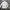 Uniqlo Streetwear Casual Casual shirt Pria white photo 1