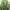 Streetwear Casual Sweatshirt Wanita multicolor green photo 1