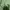 Streetwear Casual Sweatshirt Wanita multicolor green photo 4