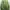 Streetwear Casual Sweatshirt Wanita multicolor green photo 2