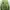 Streetwear Casual Sweatshirt Wanita Multicolor Green