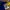 Nike Sportswear Jersey Pria yellow blue photo 5