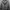 Sportswear Casual Track jacket Pria black gray photo 4