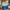Dickies Streetwear Sportswear Short Pria multicolor photo 2