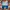 Dickies Streetwear Sportswear Short Pria multicolor photo 3