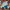 Dickies Streetwear Sportswear Short Pria multicolor photo 1