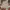 Izzue Streetwear Sportswear Short Pria multicolor photo 3