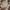 Izzue Streetwear Sportswear Short Pria multicolor photo 2