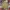 Timberland Streetwear Sportswear Short Pria multicolor photo 3