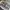 Chrome Hearts Streetwear Luxury Hat Pria white black photo 3