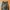 Streetwear Gorpcore Tracksuit Pria black photo 5