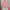 Casual Cardigan Wanita pink photo 1