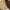 Erigo Luxury Trench coat Pria cream photo 1