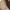 Erigo Luxury Trench Coat Pria Cream