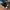 Adidas Streetwear Sneakers Pria orange white photo 3
