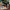Adidas Streetwear Sneakers Pria orange white photo 1