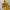 Off-White Luxury Sweater Pria yellow photo 1