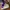 Nike Streetwear Sneakers Pria purple white photo 1