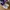 Nike Streetwear Sneakers Pria purple white photo 3
