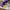 Nike Streetwear Sneakers Pria purple white photo 2
