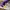 Nike Streetwear Sneakers Pria Purple White