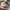 Adidas Streetwear Sneakers Pria white blue photo 2