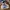 Adidas Streetwear Sneakers Pria white blue photo 1