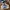 Adidas Streetwear Sneakers Pria White Blue