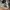 Adidas Streetwear Sneakers Pria white black photo 4