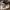 Adidas Streetwear Sneakers Pria white black photo 1