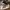 Adidas Streetwear Sneakers Pria White Black