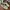 Adidas Casual Casual shoe Pria green white photo 3