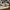 Adidas Casual Casual shoe Pria green white photo 1