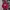 Streetwear Y2K Hoody Pria Red