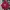 Streetwear Y2K Hoody Pria Red