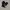 Nike Gorpcore Casual Tracksuit Pria white black photo 1