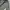 Reworked Suit Pria Gray