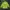 Casual Parka Pria green photo 3