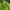 Casual Parka Pria Green