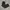 Reebok Gorpcore Casual Tracksuit Pria gold gray photo 1